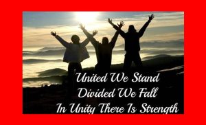 United We Stand, Divided We Fall