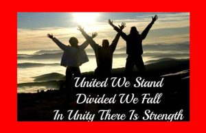 United We Stand, Divided We Fall-An Amplification United We Stand, Divided We Fall