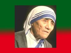 Waste not, want not-Amplification Waste not, want not-Amplification