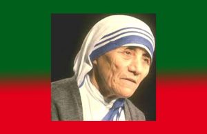 Waste not, want not-Amplification Waste not, want not-Amplification