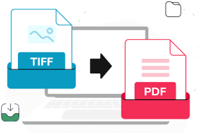 Understanding How Compression Works In TIFF & PDF Files TIFF & PDF Files