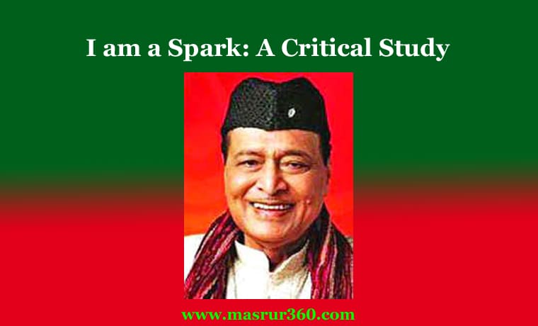 I am a Spark: A Critical Study